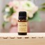 피톤치드 편백오일10ml