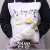황가네 햅쌀 20kg
