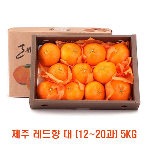 [면세]제주 레드향 대 (12~20과) 5kg