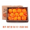 [면세]제주 레드향 대 (12~20과) 5kg