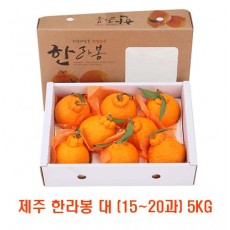 [면세]제주 한라봉 대 (15~20과) 5kg