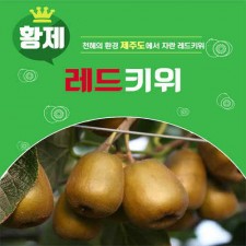 제주 레드키위 1박스 2K 28과내외