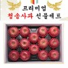 명품 사각 청송사과 선물셋트 1박스 13-14과(5k)