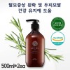 애초 프리미엄 샴푸 500ml *2ea/탁월한효과!인기상승!