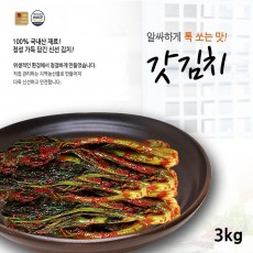 전라도사계절맛김치 갓김치 3kg