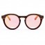 스페쿨룸 선글라스 WHERE ARE YOU FROM WOOD/R