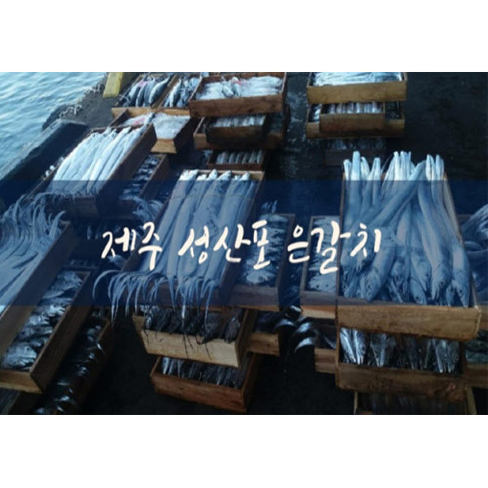 바다내음 제주은갈치 300~400g(중) (손질 후 250g~330g) 내외