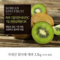 [A15-300]국내산 참다래 대과 3.5kg