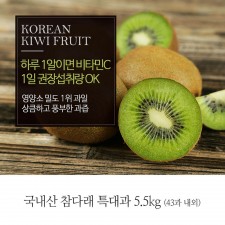 [A15-303]국내산 참다래 특대과 5.5kg