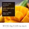 [A15-332]태국 망고 2kg