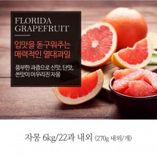 [A15-383]플로리다  자몽 270gx6.0kg