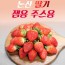 에바다 잼용 주스용 딸기 1.6kg