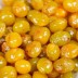 햇 피은행(중) 1kg