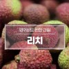 [수입과일] 전설의 과일 생리치 4kg