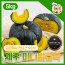 국민쿡 제주 미니 밤호박 로얄과 5kg (산지직송)