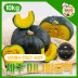 국민쿡 제주 미니 밤호박 로얄과 10kg (산지직송)