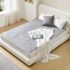 [홈쇼핑 방송 상품] 장수돌침대 25년형 자바 워셔블 향균 카본 탄소매트 (퀸 사이즈/무상 2년 AS) KHJS-2000Q