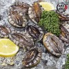 [미각기행] 완도 전복 7-8미 1kg