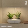 반려 식물 케어 솔루션_키우다(2구 화분)
