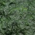매생이 주산지 장흥 햇 찰매생이 특품(개별진공포장 6재기, 재기당 380~400g 3~4인용)