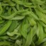 [식감최고] 잘 말린궁채 1kg(특품)