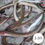 [미각기행] 손질 통영 바다장어 대 650g(2-3미)