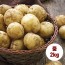 수미감자 중 2kg (40~70g 내외)