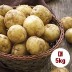 수미감자 대 5kg (중량 70~130g 내외)