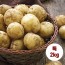 수미감자 특 2kg (130~180g 내외)