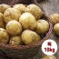 수미감자 특 10kg (130~180g 내외)