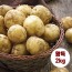 수미감자 왕특 2kg (180~280g 내외)
