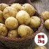 수미감자 왕특 2kg (180~280g 내외)