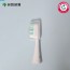 [유한양행] 암앤해머 프로 화이트닝 스핀 브러쉬 전동 칫솔헤드, 1개 (색상 랜덤)