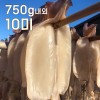바다바람에 말린 쫄깃한 마른안주! 반건조 오징어 10미 ( 대 750g 내외 )