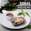 완도 활전복 5마리 마리당 50g내외