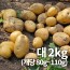 26년 햇 감자_대 2kg 알감자용&찜용 중량 (80g~110g)