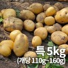 26년 햇 감자_특 5kg 찜용&요리용 중량 (110g~160g)