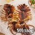 반건조 오징어(몸통&다리) 중 550g(5미)