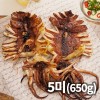 반건조 오징어(몸통&다리) 대 650g(5미)