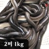 [미각기행] 풍천 자포니카 민물장어 2미 1kg(손질 후 700g 내외)