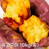 26년산 세척 꿀고구마 10kg(중/긴중)