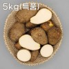 곡성 생토란 5kg(특품)