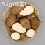 곡성 생토란 5kg(특품)