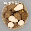 곡성 생토란 10kg(특품)