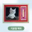 반려동물 영구보존 케라틴 기본형 액자/해피콜진행, 발톱수령후 1주내 배송