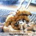 [청년농가] 고창 토종 자포니카 풍천장어 1kg 손질후 450±50g x 2 (양념2종+초생강 증정)