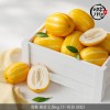 [미각기행] 성주 고당도 꿀참외 정품 중과 2.5kg (7-10과 내외)