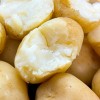 [청년농가] 산지직송 햇 수미감자 왕특 2kg