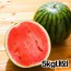 ★여름제철★ 당도보장 국내산 시원한 꿀수박 하우스수박 5kg내외