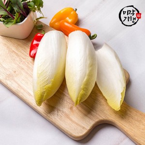 [미각기행] 프리미엄 화이트 엔다이브 200~250g 2개입